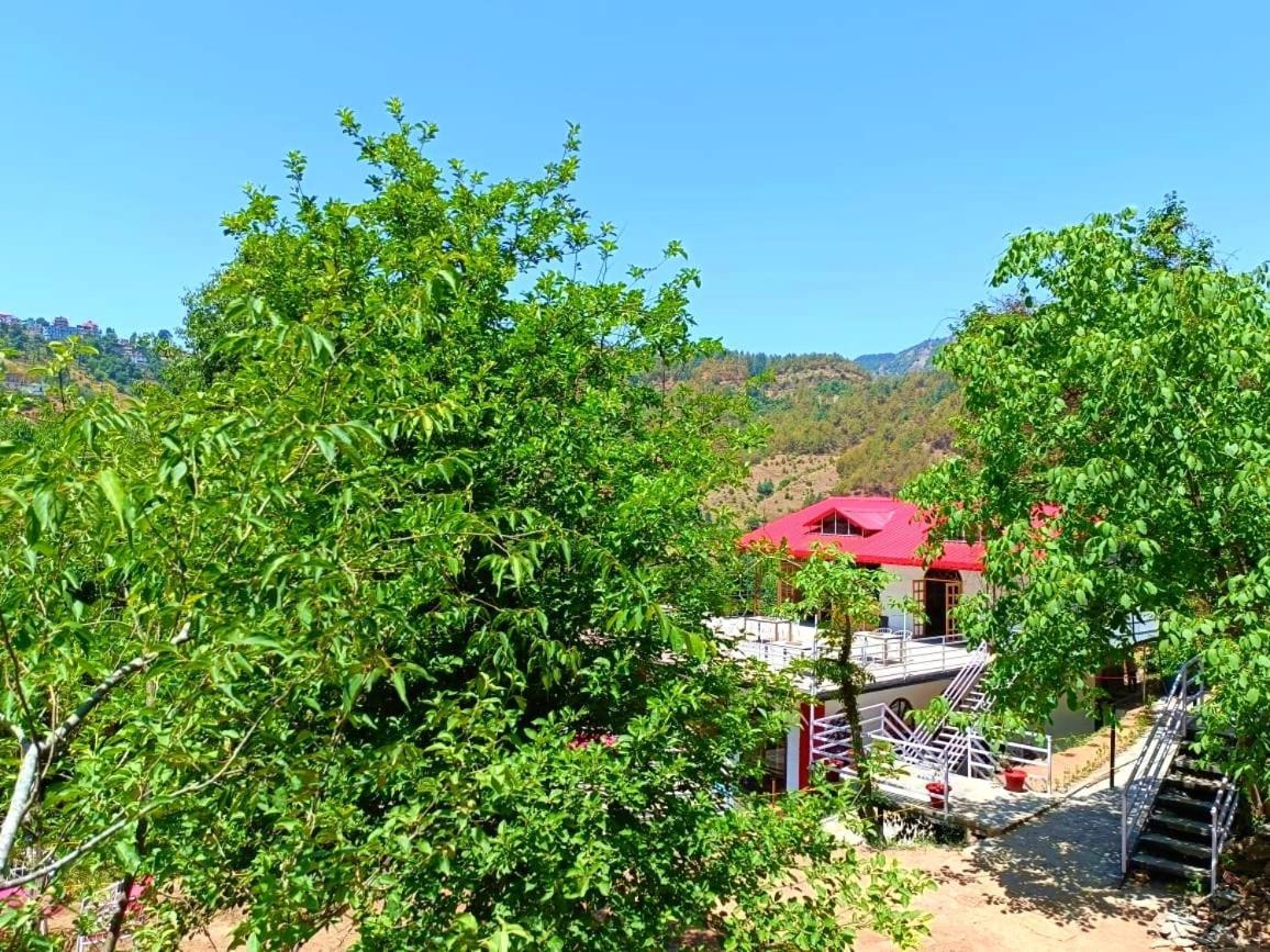 Aamod At Shoghi Luxury Cottage Resort Shimla Exterior foto