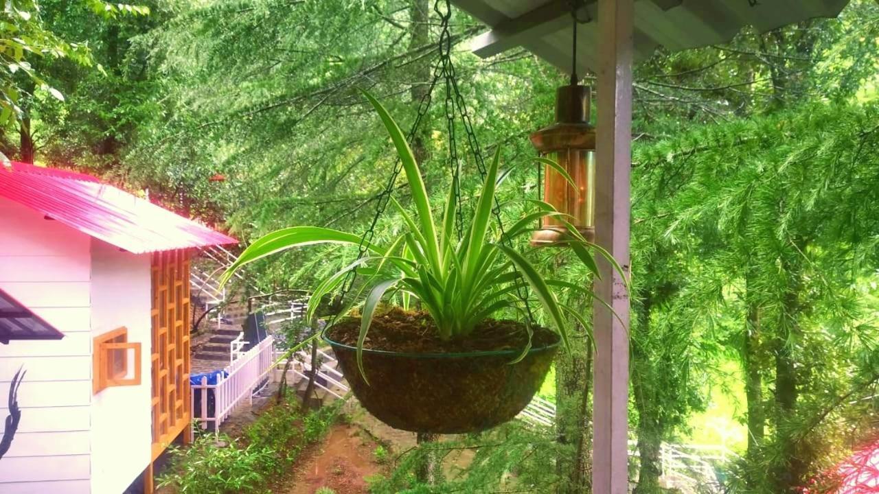 Aamod At Shoghi Luxury Cottage Resort Shimla Exterior foto