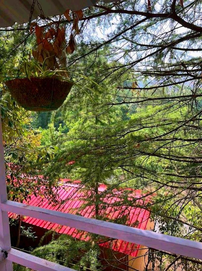 Aamod At Shoghi Luxury Cottage Resort Shimla Exterior foto