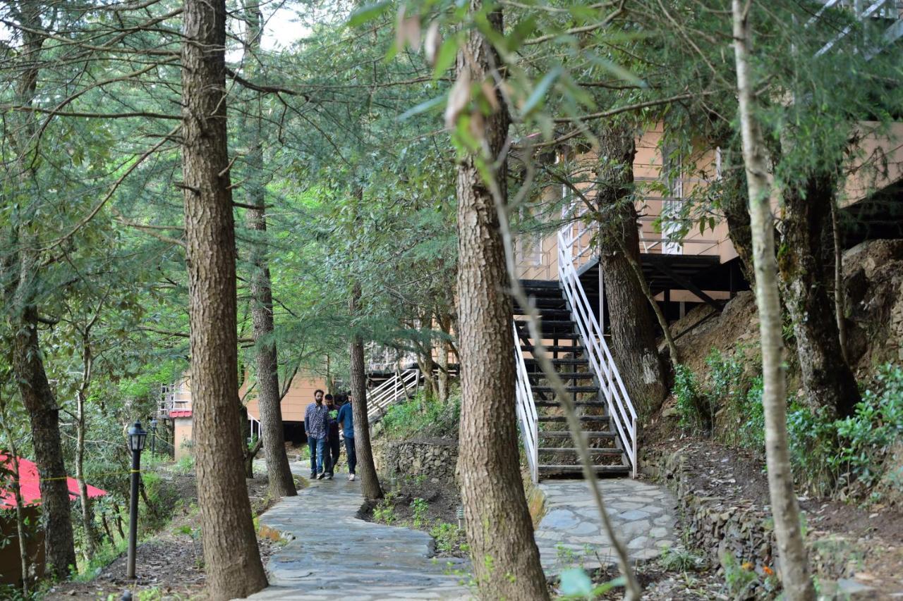 Aamod At Shoghi Luxury Cottage Resort Shimla Exterior foto
